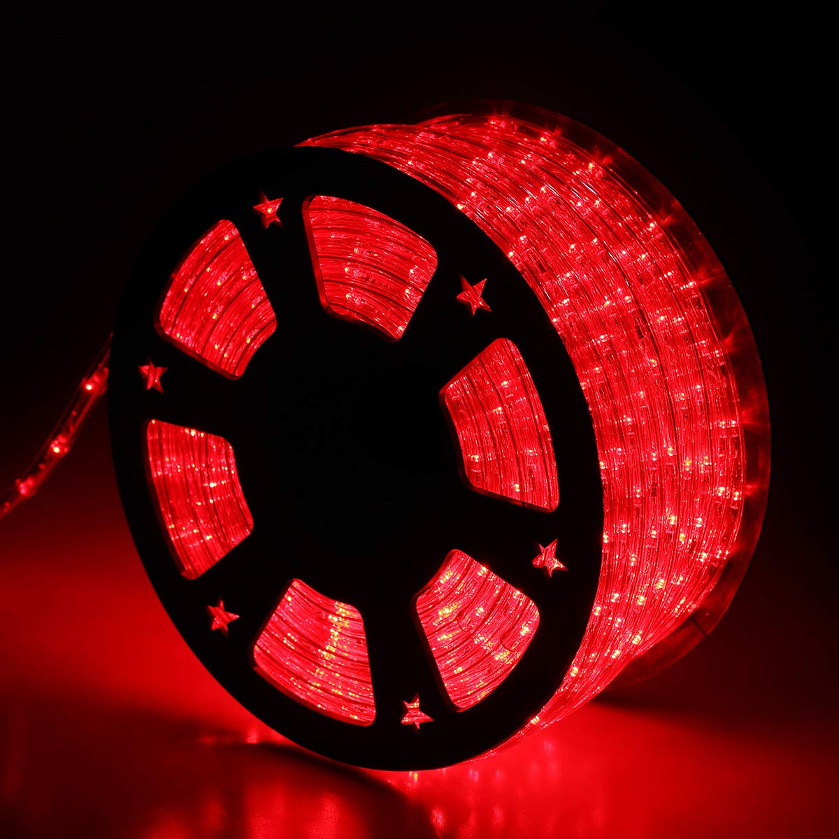 100ft LED Lights